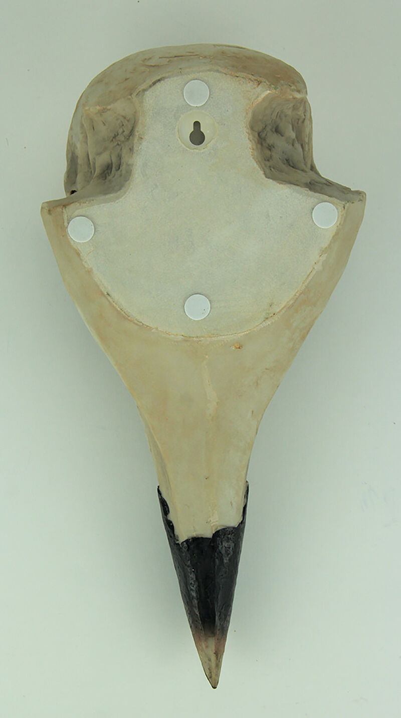 Corvus Bird of Prophecy Gothic Raven Skull Hanging Statue image number 2