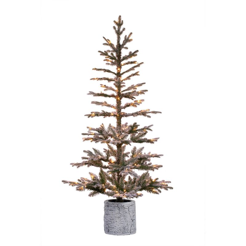 5 Foot Prelit Flocked Timberland Fir Potted Christmas Tree image number 0