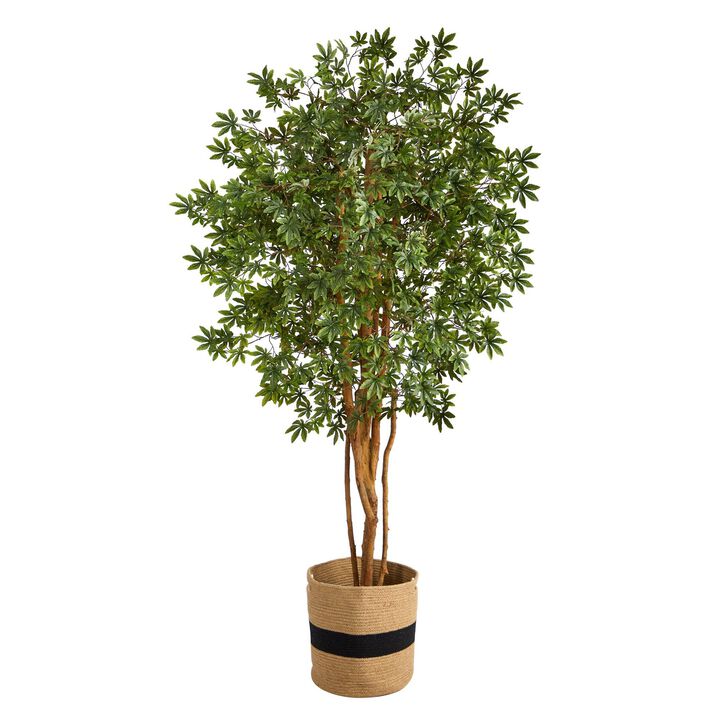 Nearly Natural 6-ft Japanese Maple Tree in Handmade Natural Cotton Planter