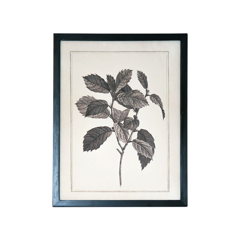 HomeRoots Set of Two Black And White Botanical Leaves Framed Art image number 2