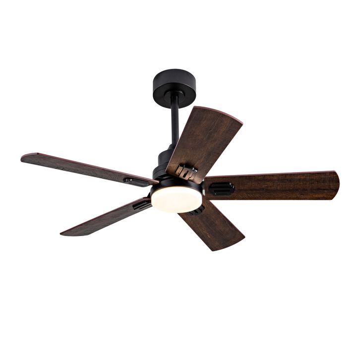 ELEMENT ACE 42 Inch Indoor and Covered Outdoor Ceiling Fan with Dimmable LED Light, Remote Control, Ultra Quiet Reversible DC Motor, 6 Speed Dual Finish Blades