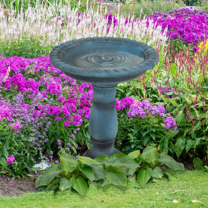 Sunnydaze Facade du Soleil Reinforced Concrete Bird Bath - 26"