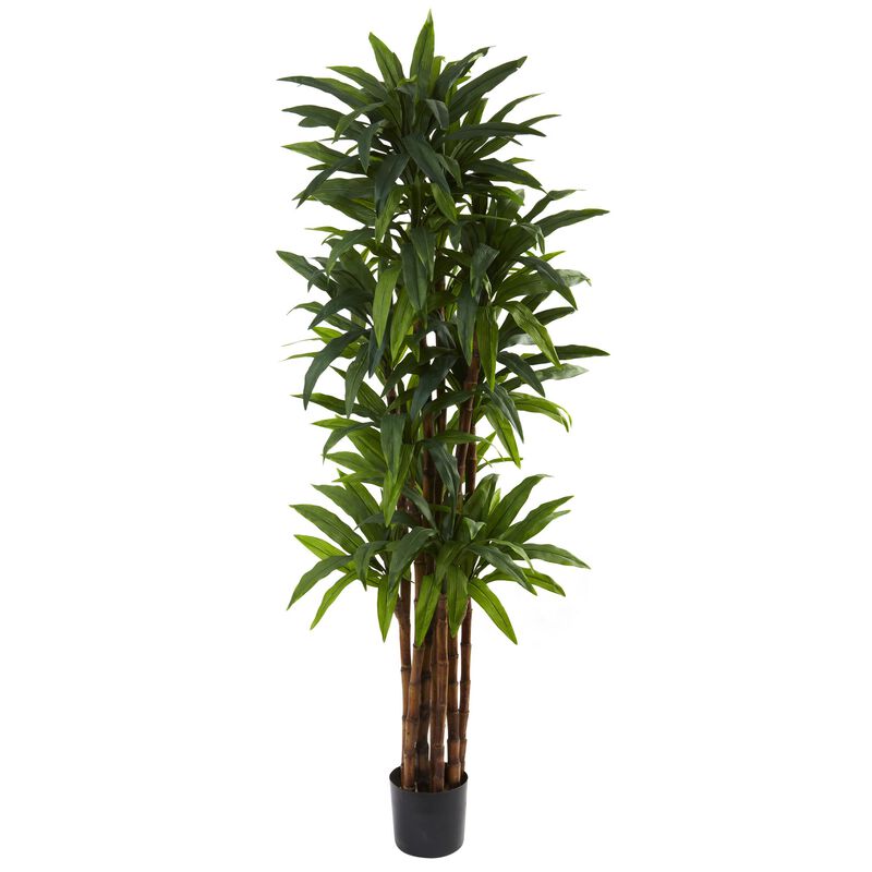 Hivvago 6.5 Feet Dracaena Tree