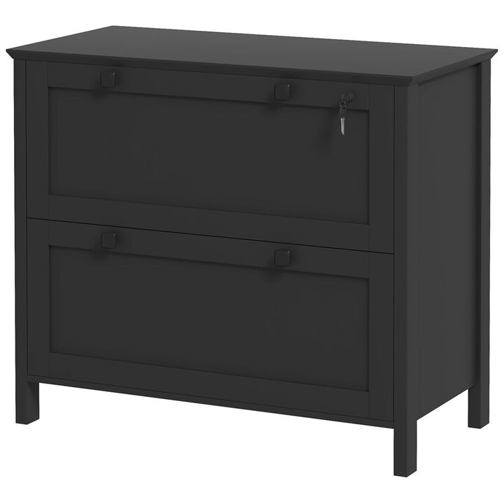 Hivvago 2-Drawer Lateral File Cabinet with Adjustable Hanging Rails