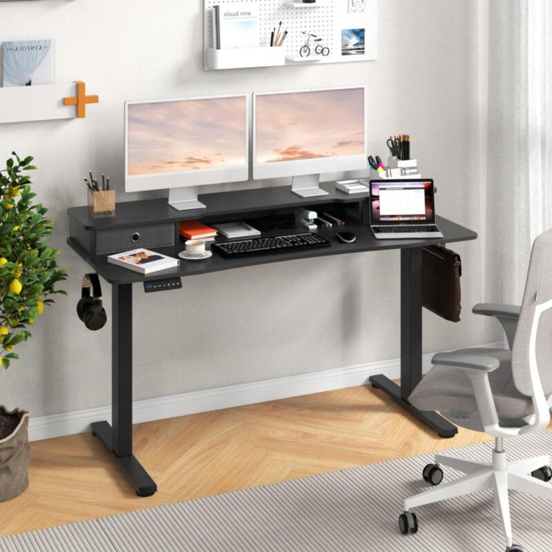 Hivvago 55 Inch x 24 Inch Height Adjustable Electric Standing Desk with 2 Drawers