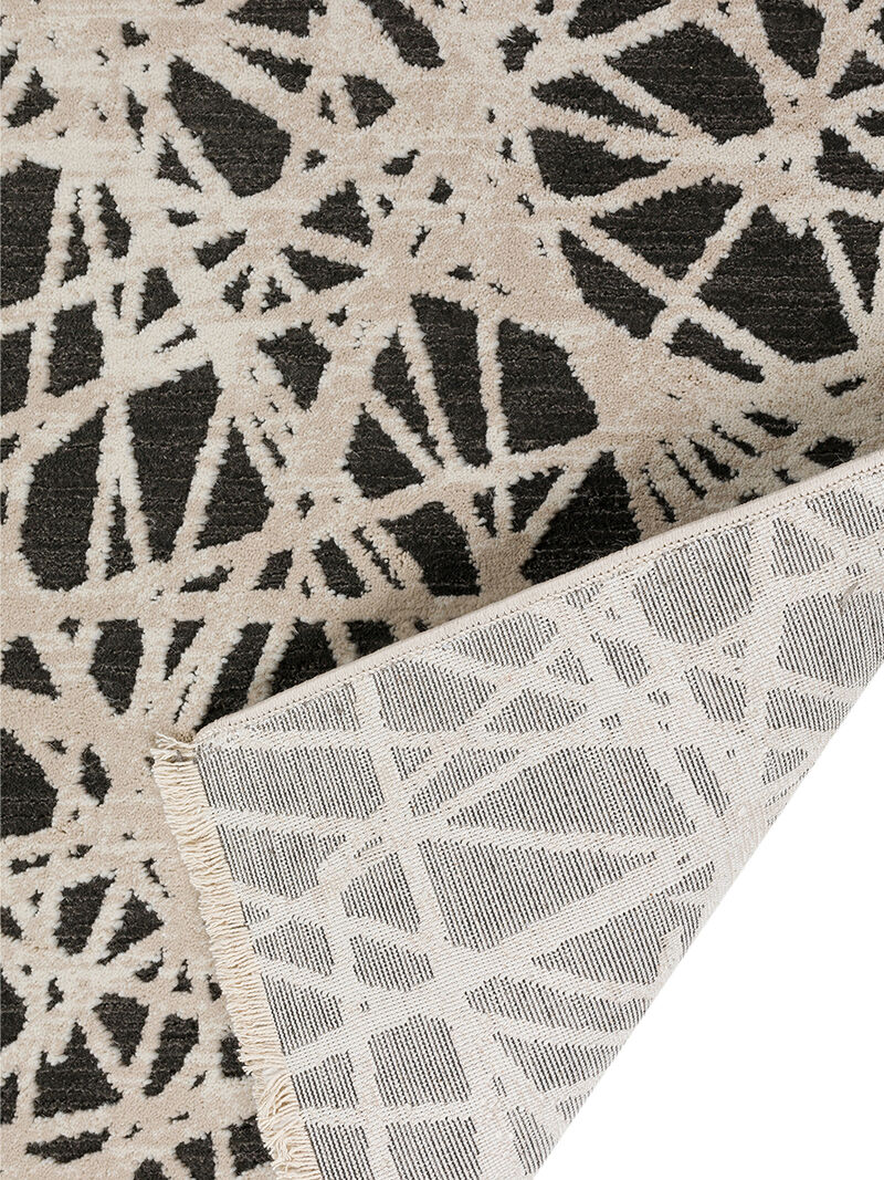 Denizi DZ4 Collection