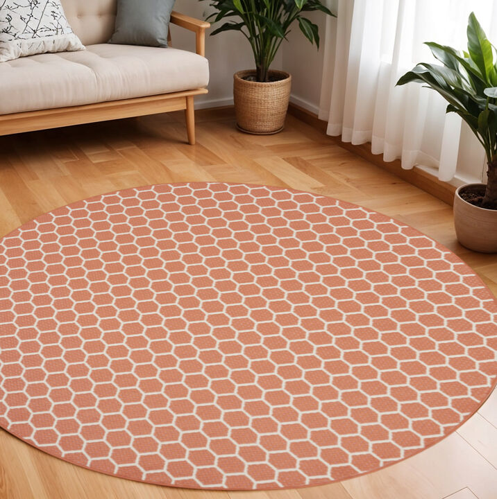 HomeRoots Geometric Indoor Outdoor Area Rug