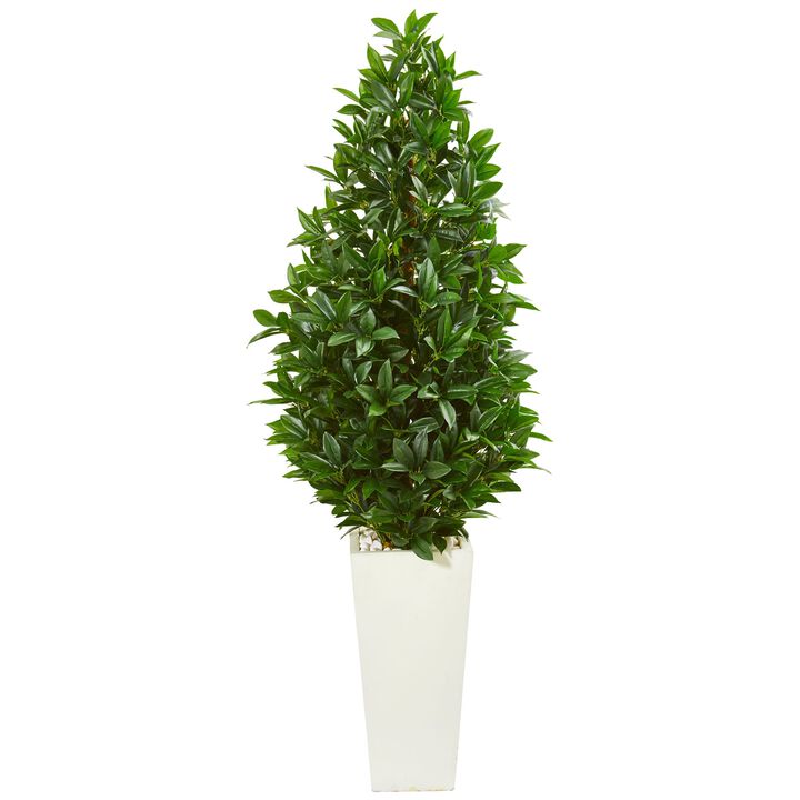 HomPlanti 63 Inches Bay Leaf Cone Topiary Artificial Tree in White Planter UV Resistant (Indoor/Outdoor)