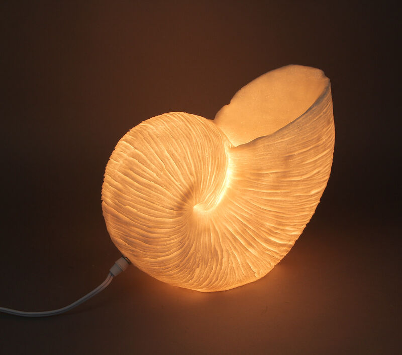 White Sandstone Finish Frilled Nautilus Shell Accent Lamp 10 Inches High image number 2