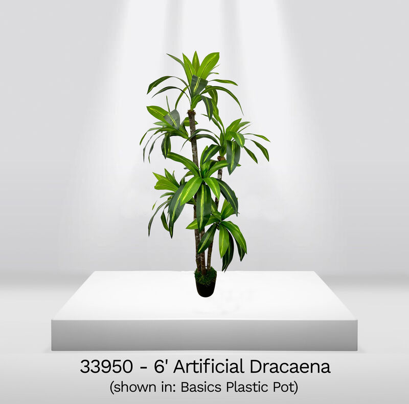 Handmade 6' Artificial Dracaena Tree In Home Basics Starter Pot Made with Real Wood and Moss Accents