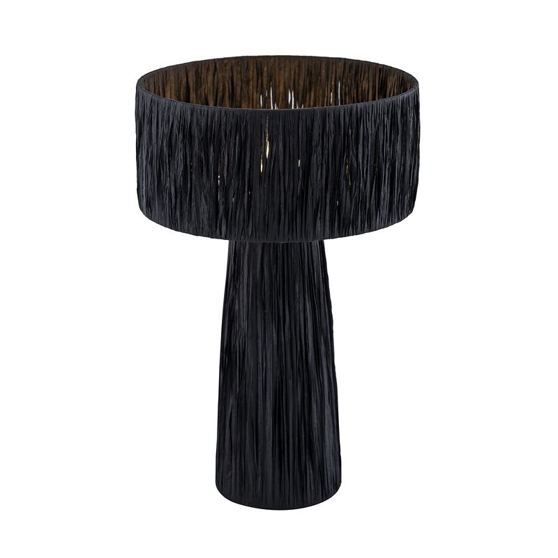 Shelby Raffia Black Table Lamp image number 1