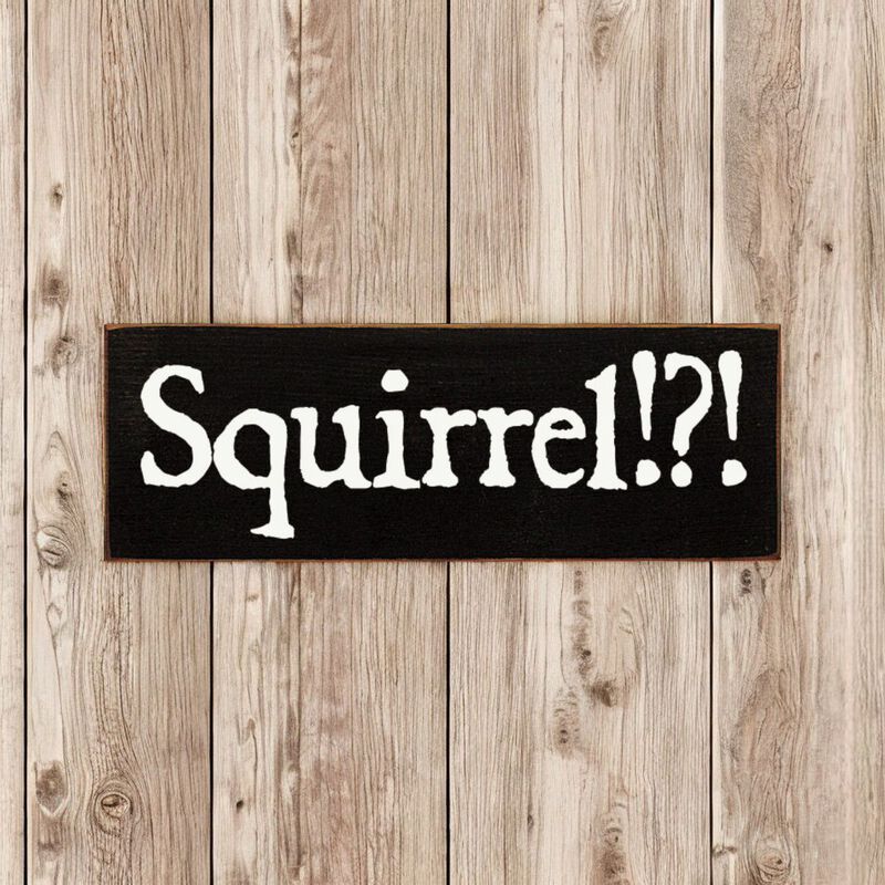 Squirrel Wood Sign Rustic Farmhouse Wall Decor for Living Room, Cabin or Entryway image number 2