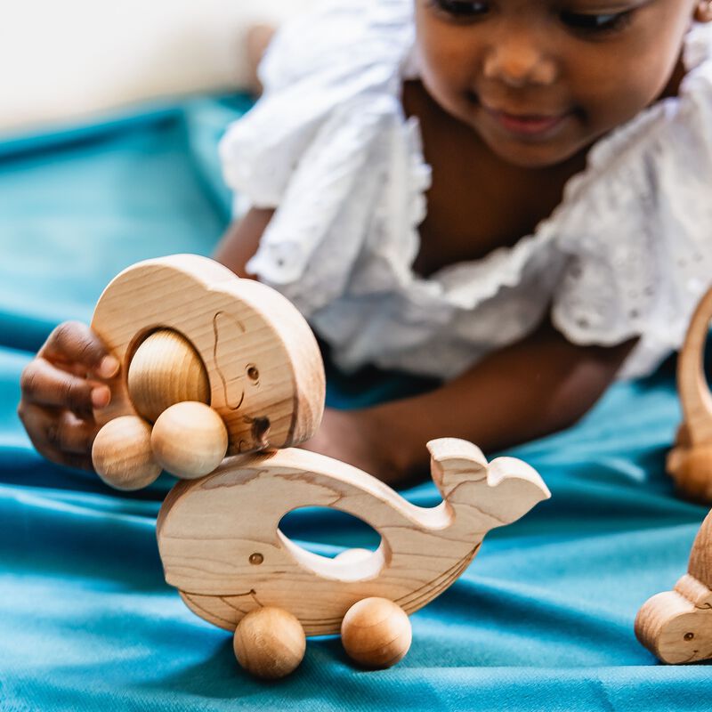 Easy Grasp Whale Push Toy image number 1