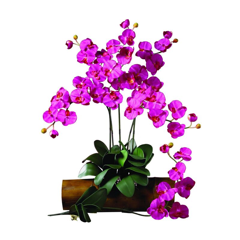 Nearly Natural Phalaenopsis Stem (Set of 12) - Cream