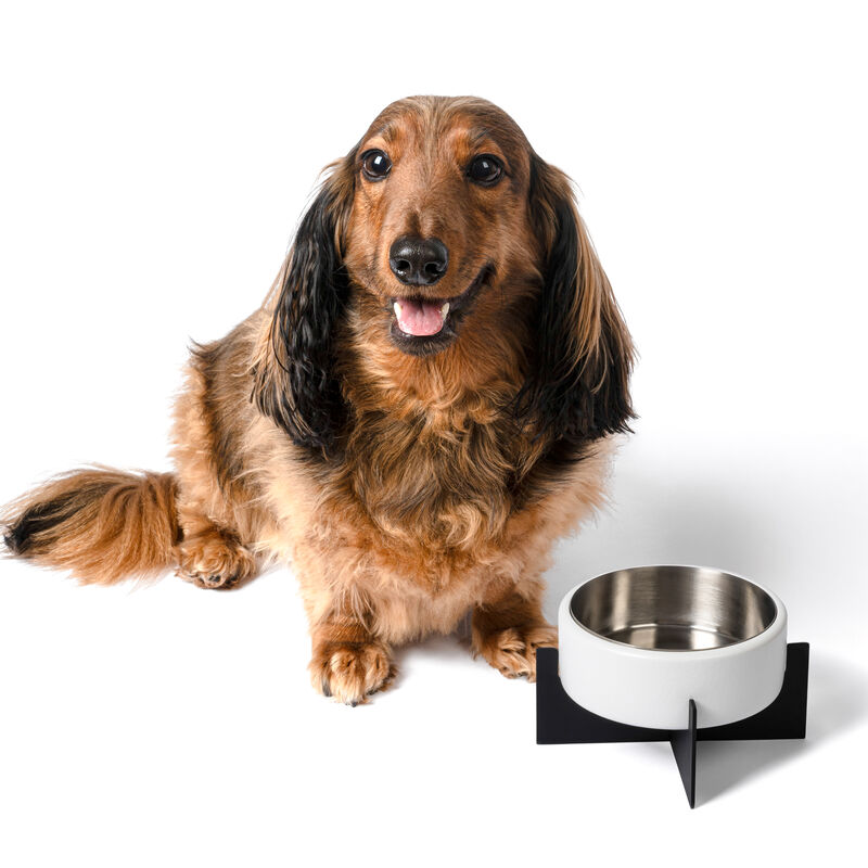 Intersecta Concrete and Stainless Steel Bowl 16oz (2 Cups) with Metal Stand Pet Feeder image number 4