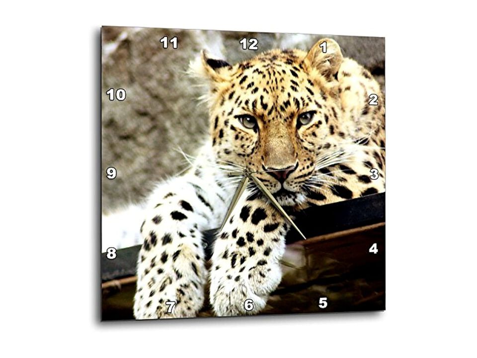 Leopard Popular Wall Clock 10 Inch Home Decor