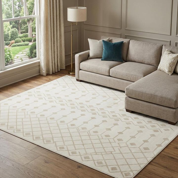 HomeRoots Moroccan Power Loom Area Rug