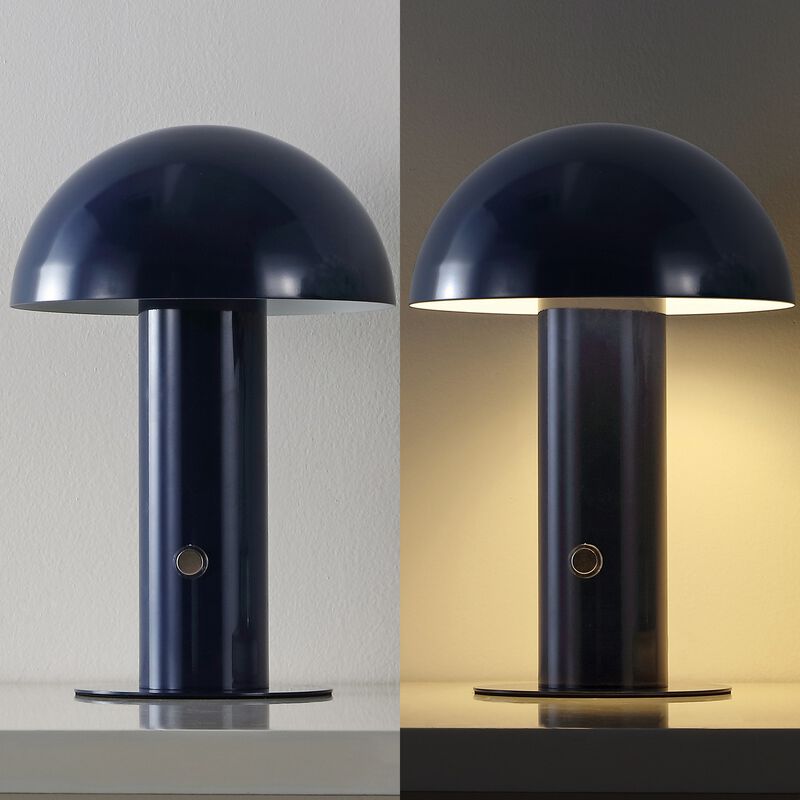 Boletus Contemporary Bohemian Rechargeablecordless Iron Integrated LED Mushroom Table Lamp