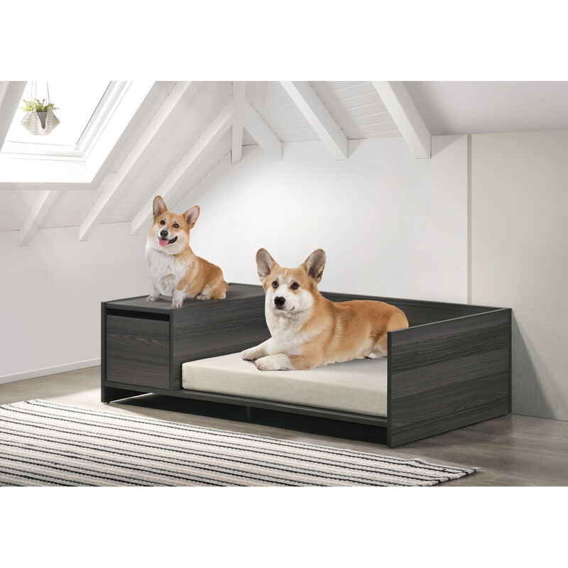 Esme Ash Gray 47" Wide Modern Comfy Pet Bed with Cushion and Side Storage Compartment
