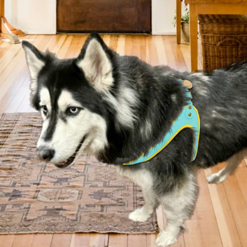 POISEPUP Real Leather Comfortable Step-in Harness for Dogs - Teal | Yellow