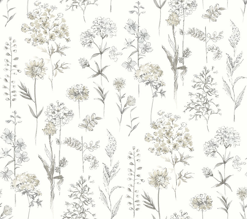 Bergamot Light Grey Wildflower Wallpaper