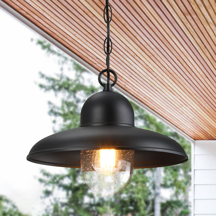 1-Light Black Outdoor Pendant Light