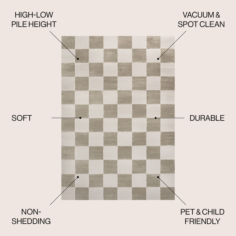 Thea Modern Geometric Checkerboard High-Low Area Rug.