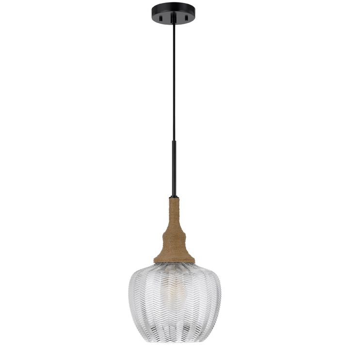 Pendant Light, Leaf Pattern Glass Shade, Burlap Rope Accent, Black Metal