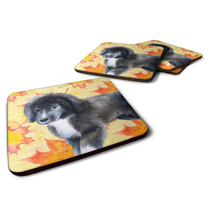 Caroline's Treasures Newfoundland Puppy Fall Decorative coasters, Multicolor