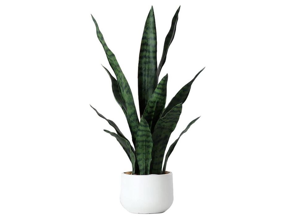 Green Artificial Greenery Plants Garden Porch Decor Snake Plant