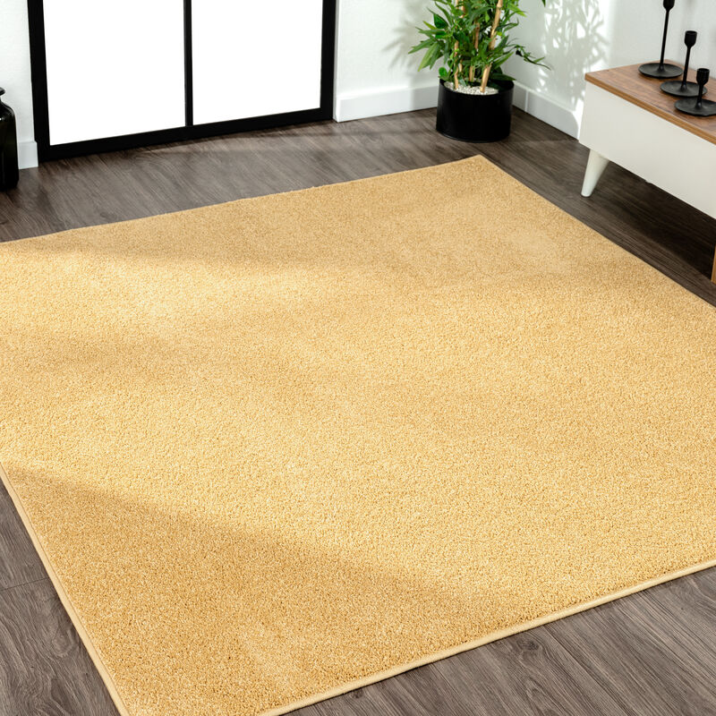 Haze Solid Low Pile Square Area Rug