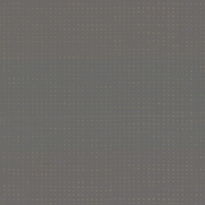 Brielle Pewter Polka Dot Wallpaper