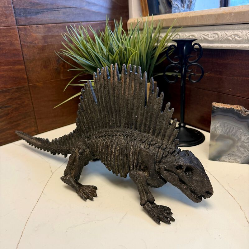 Dimetrodon Dinosaur Statue Fossil Style Brown Polyresin Sculpture 18 Inch image number 5