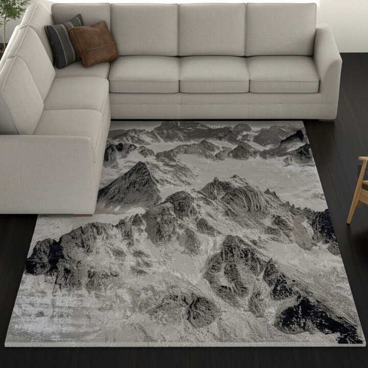 HomeRoots Abstract Area Rug