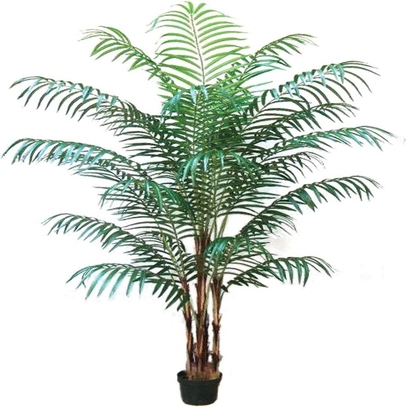 7 Foot Areca Palm Tree, Arching Feathery Fronds, Vibrant Dark Green Color, Bark Tree Trunk, Tropical Plant, Black Pot Base image number 1