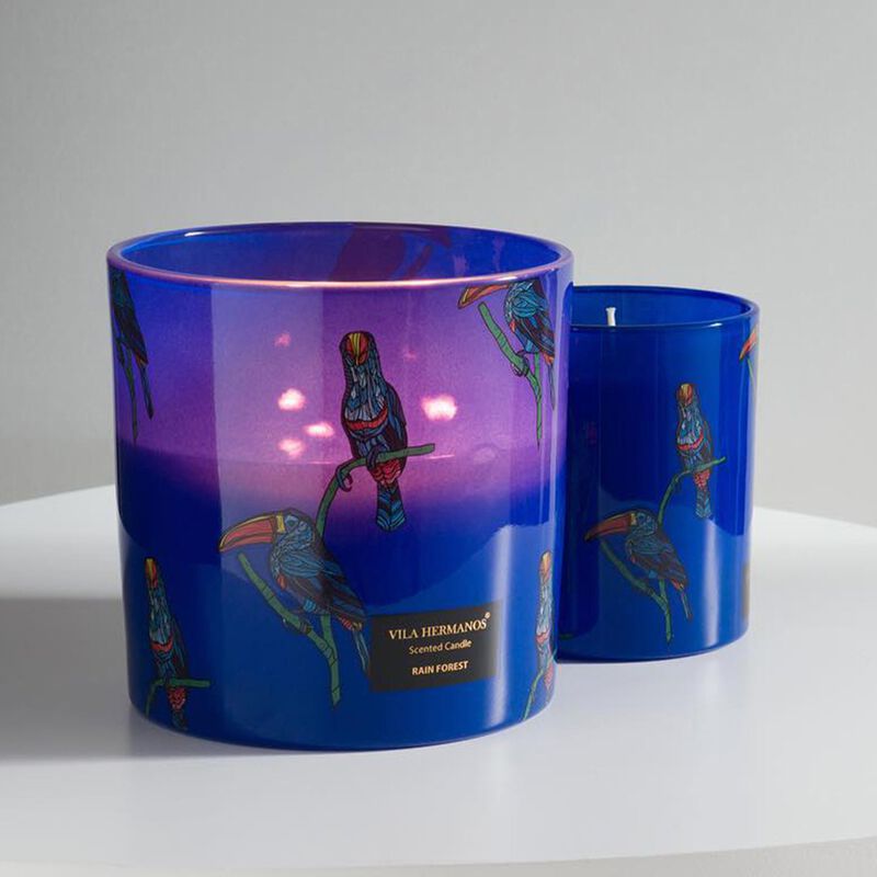 Candle in Jar JUNGLETOPIA TOUCAN RAIN FOREST 650gr 4.92 diam. X 4.92 in image number 2