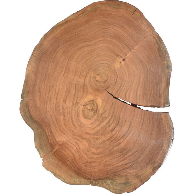 Meridian Furniture Woodland Natural Wood End Table