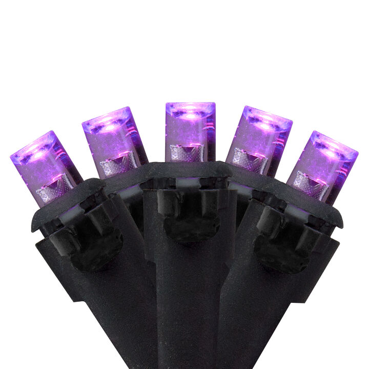 50 Count Wide Angle Purple LED Christmas Lights  16 ft Black Wire