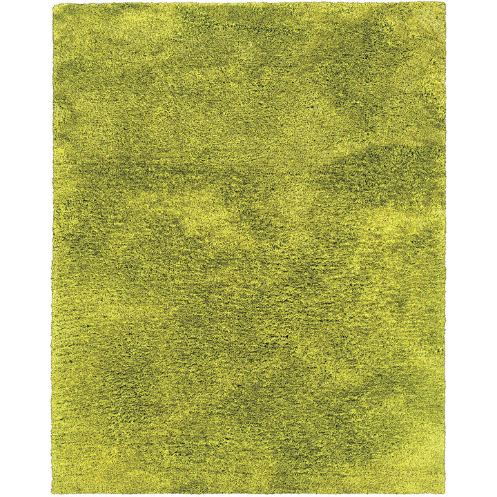 HomeRoots Shag Hand Tufted Area Rug