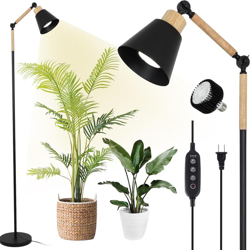 indoor pothos plant ideas 19