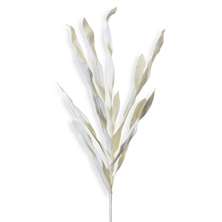 White Reed Stem