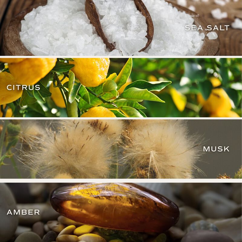 Sweet Water Decor Salt and Sea 15 oz Soy Candle image number 3