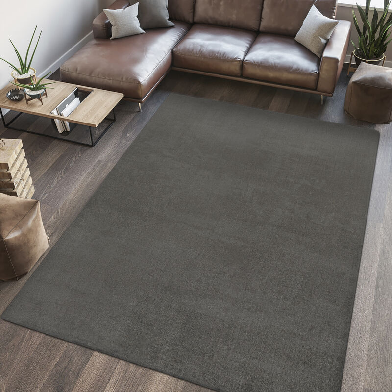 Twyla Classic Solid Low-Pile Machine-Washable Area Rug