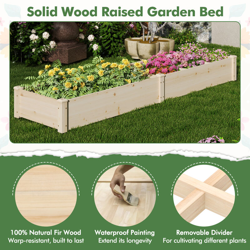 Raised Open-Ended Base Garden Bed with 2 Planter Boxes Divider