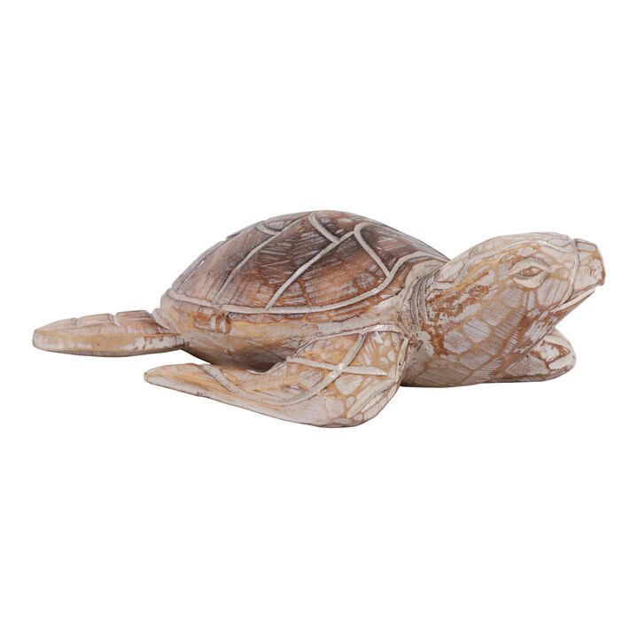 12x8" Alibizia Wood Turtle