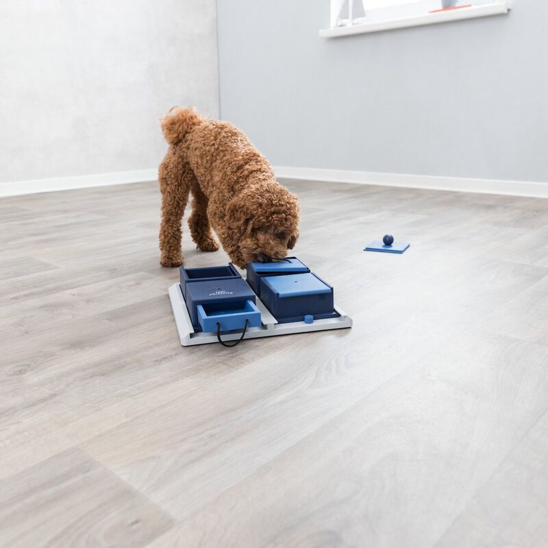 TRIXIE Dog Activity Poker Box 1 Strategy Game, Level 2 Dog Puzzle Toy, Treat Dispenser image number 2