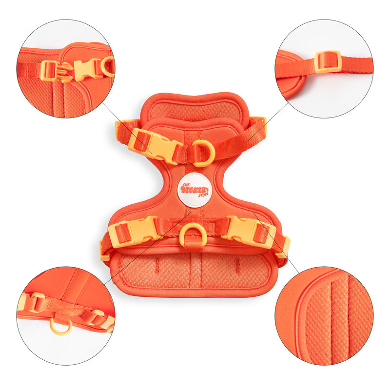 Arlo Adjustable Soft Padded No Pull Pet Harness with 3 Buckles and 3 Leash Clips