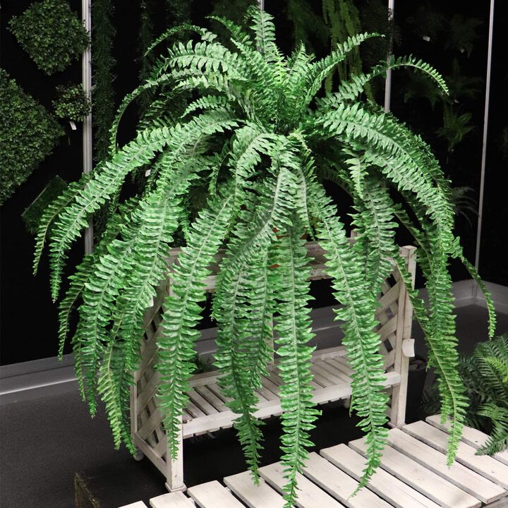 Boston Fern Artificial Plants Fake Silk Indoor House Plant or Outdoor Bush, Hanging Basket or Planter, 82” Inch Diameter 77 Fronds