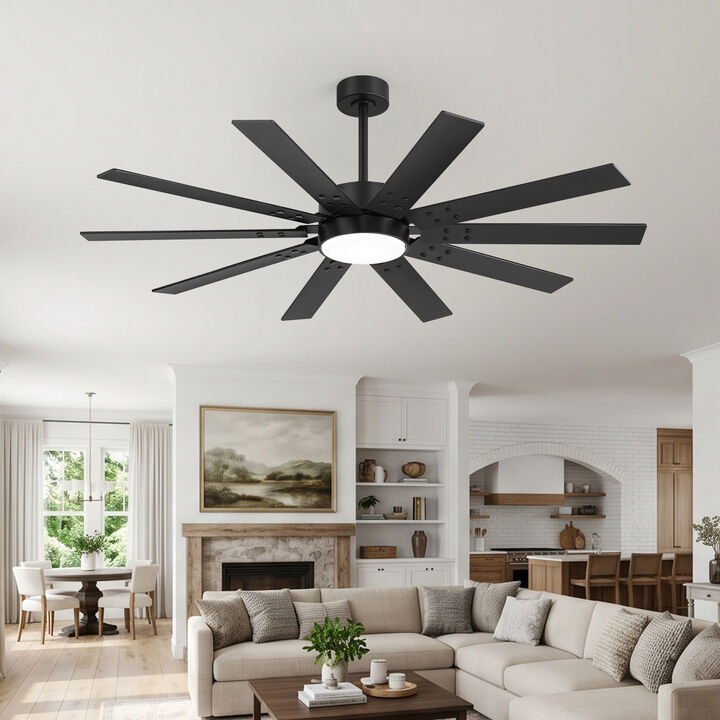 Breezary 60 Inch LED Ceiling Fan with Remote, 10 Plywood Blades, DC Motor, Timer