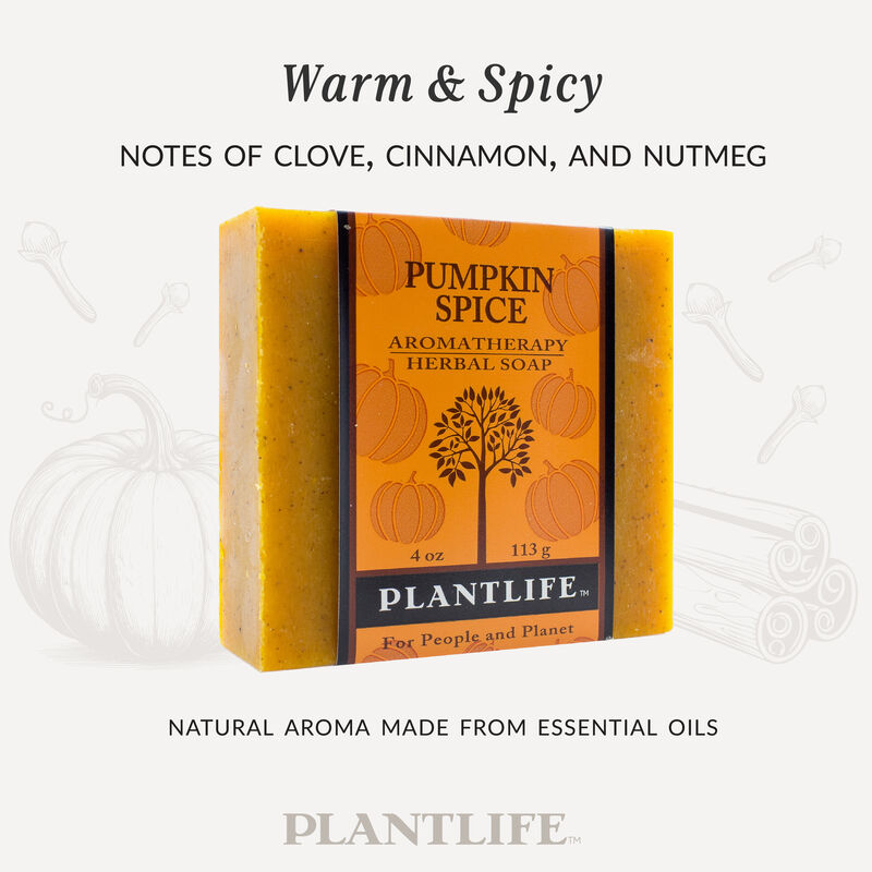 Plantlife Bar Soap - Pumpkin Spice 6 Pack image number 2
